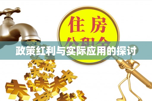 坡头政策红利与实际应用的探讨