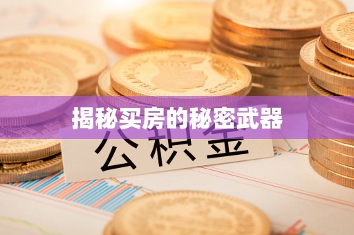 坡头揭秘买房的秘密武器