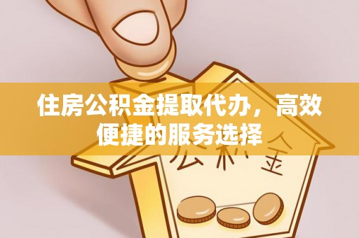 坡头住房公积金提取代办，高效便捷的服务选择