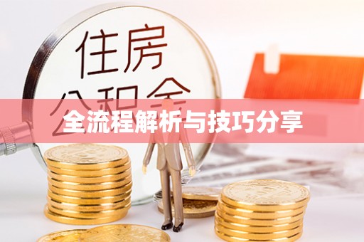 坡头全流程解析与技巧分享